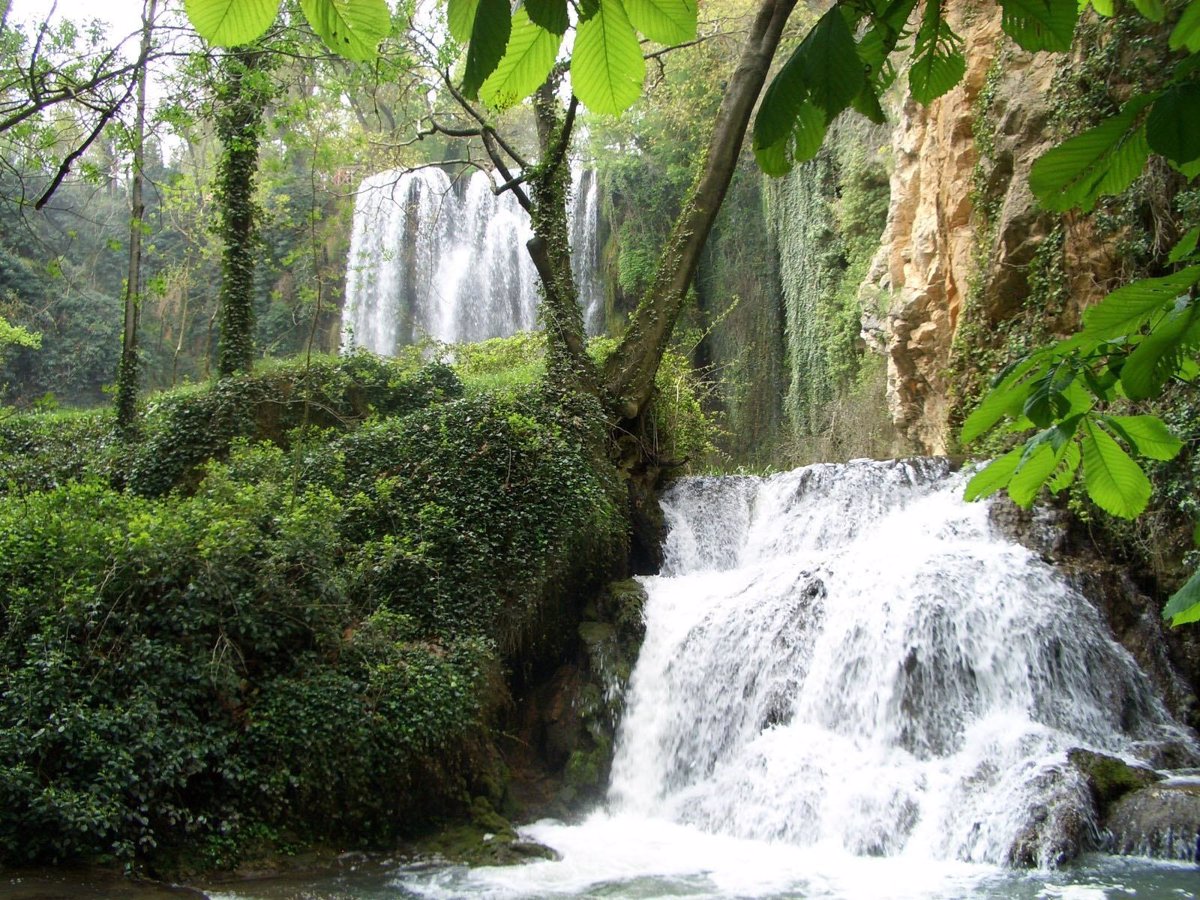 descubre el parque del monasterio de piedra un oasis natural en zaragoza