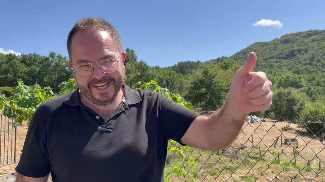 oreja de cerdo a la gallega en o