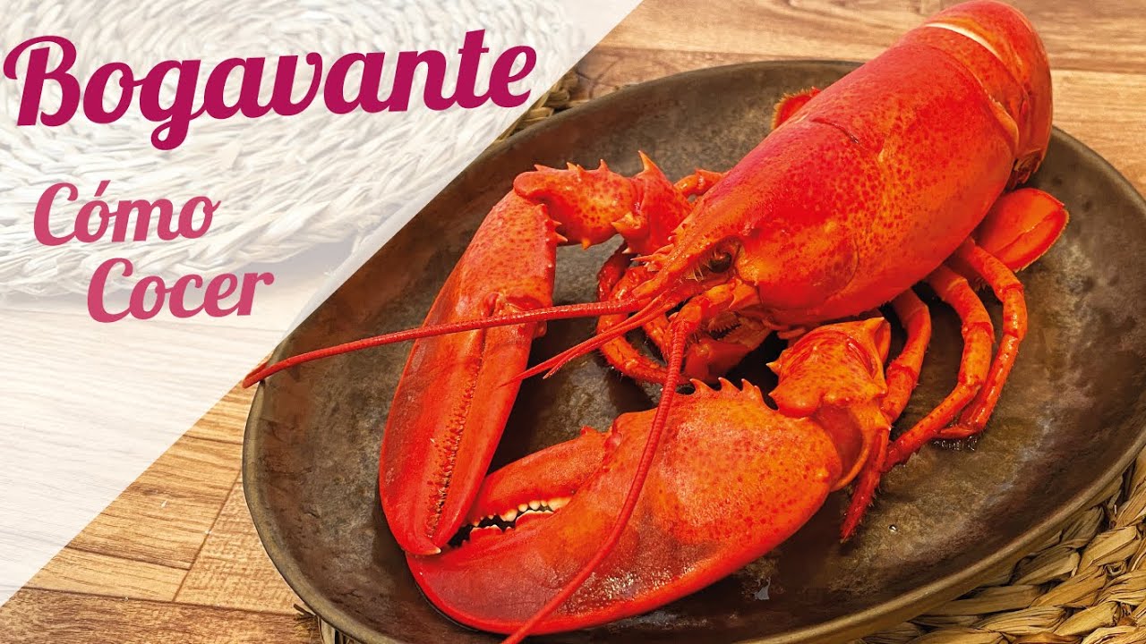 como cocer bogavante congelado a