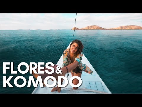 descubre lo mejor de komodo guia