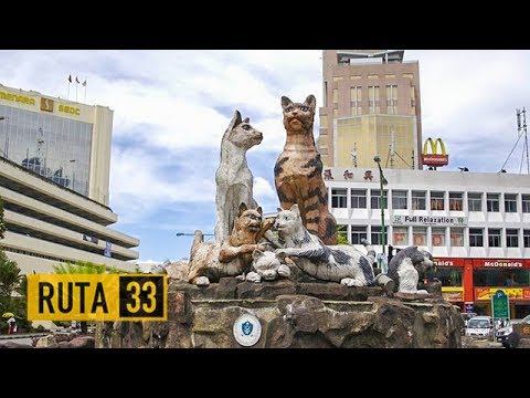 descubre los mejores lugares par