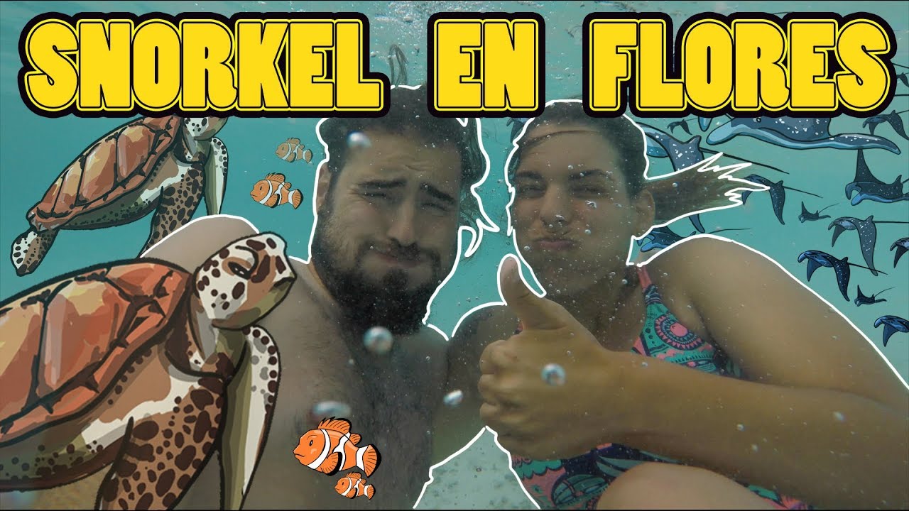 descubre los mejores lugares tur 2